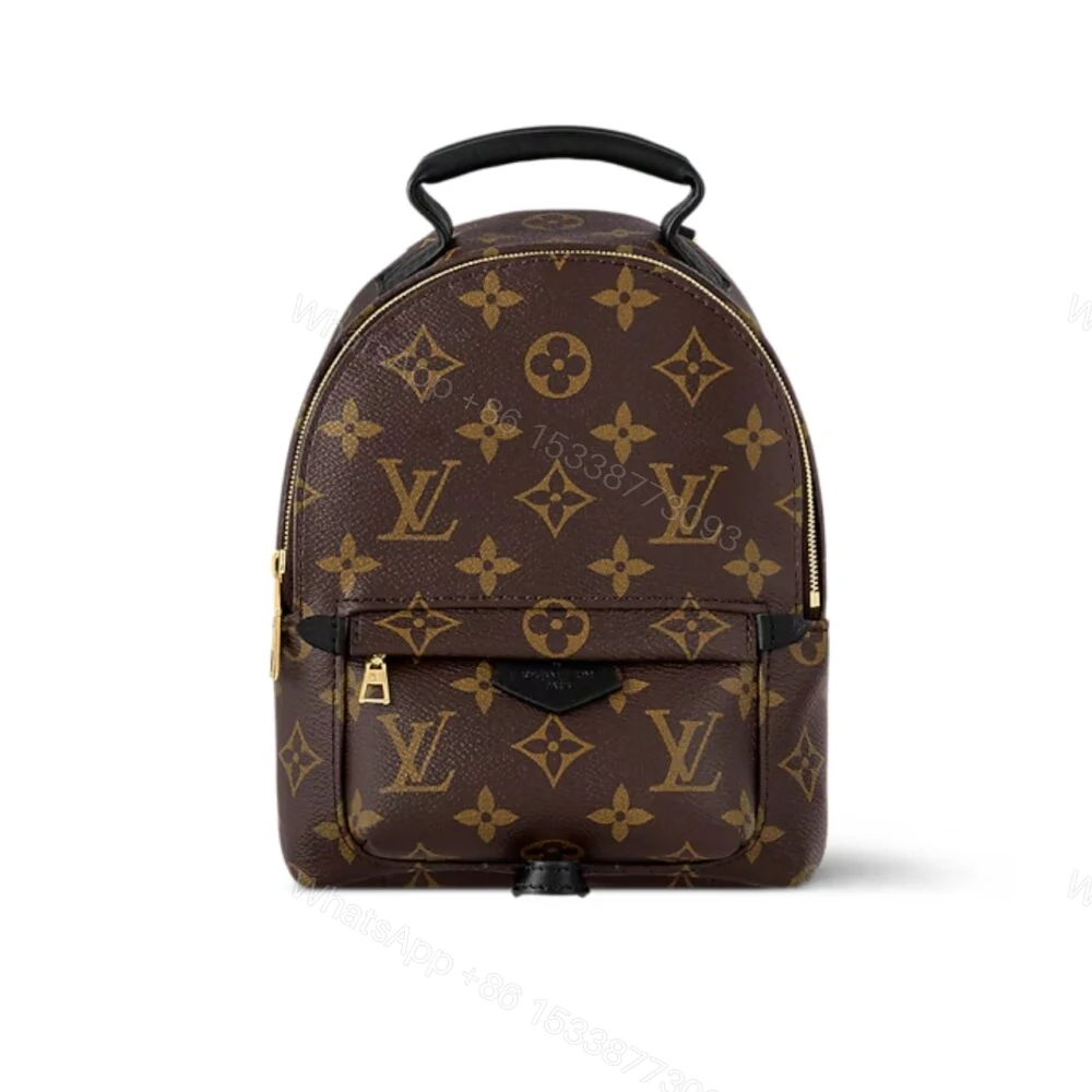 Louis Vuitton Palm Springs Mini Backpack Brown 22Cm M44873 — view 1