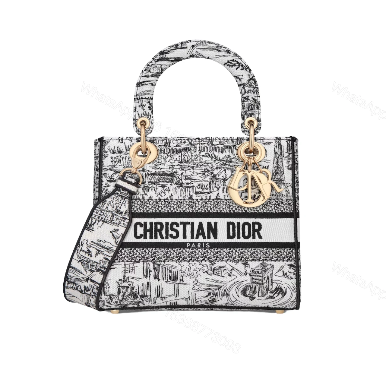 DIOR MEDIUM LADY D LITE BAG PARIS ALLOVER EMBROIDERY WHITE AND BLACK 24CM M0565OEGI M933 — view 1