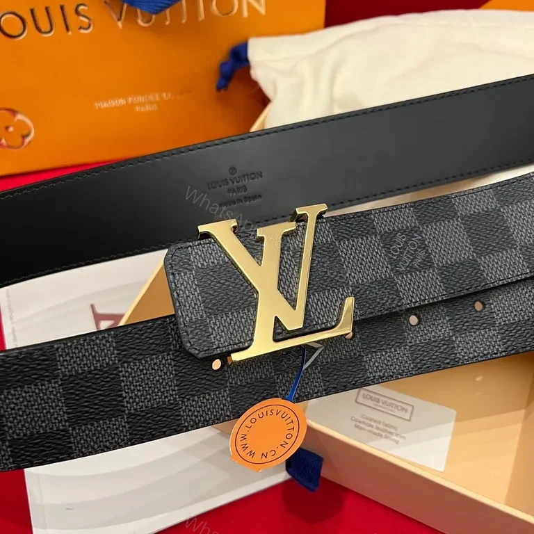 View 2 of Damier Signature Belt: Gold LV Buckle, Leather-Canvas Luxury