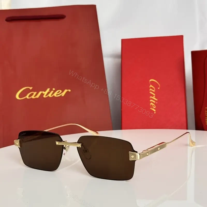 Chic Rectangular Sunglasses: Luxe Hardware, Gold-Tone Edge — view 1
