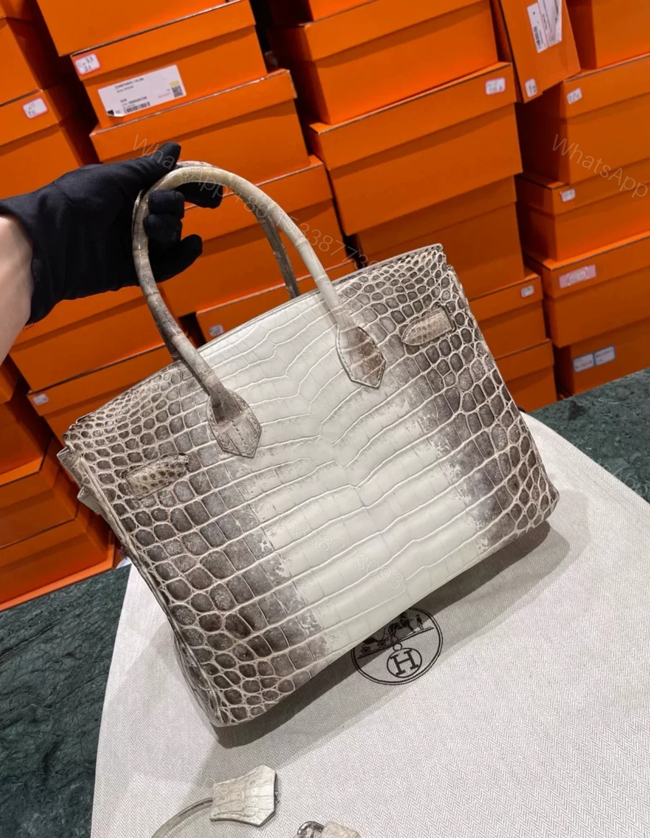 View 3 of HN 30 Himalaya Albino Genuine Crocodile Leather