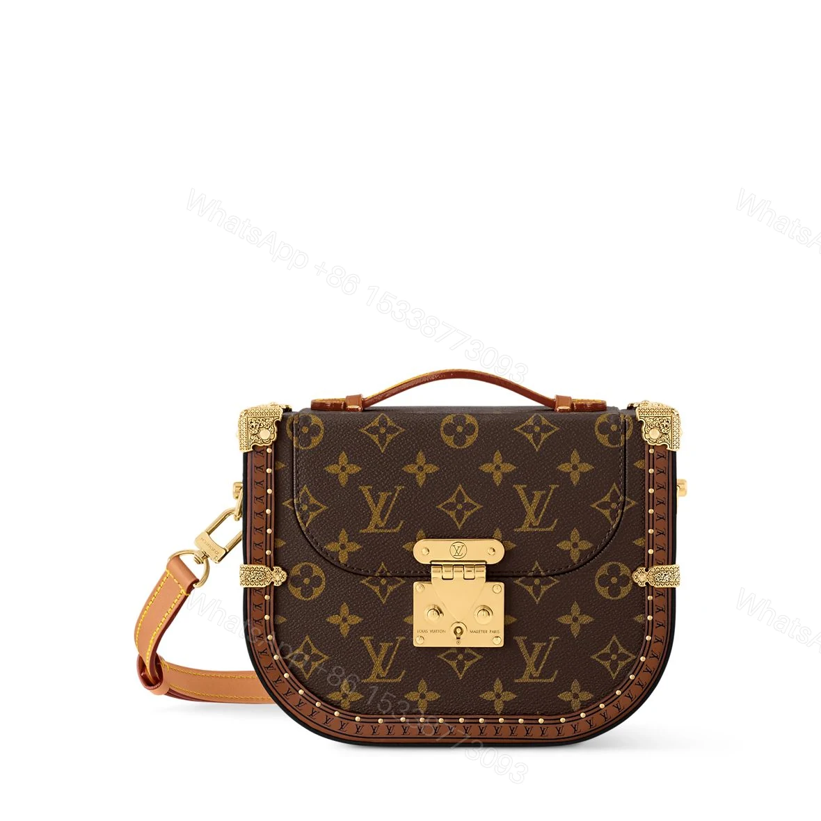 Louis Vuitton Montsouris Trunk Monogram Canvas First Copy | Premium LV Replica — view 1