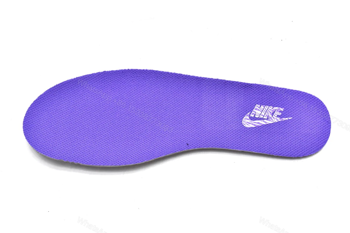View 5 of Nike Dunk Low World Champ DR9511-100