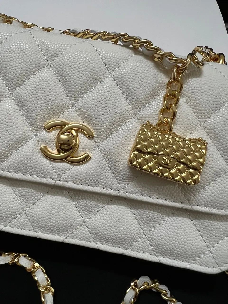 View 5 of Chanel Woc Charm Handbags White Lizard Skin With Lock Pattern Bag 20cm