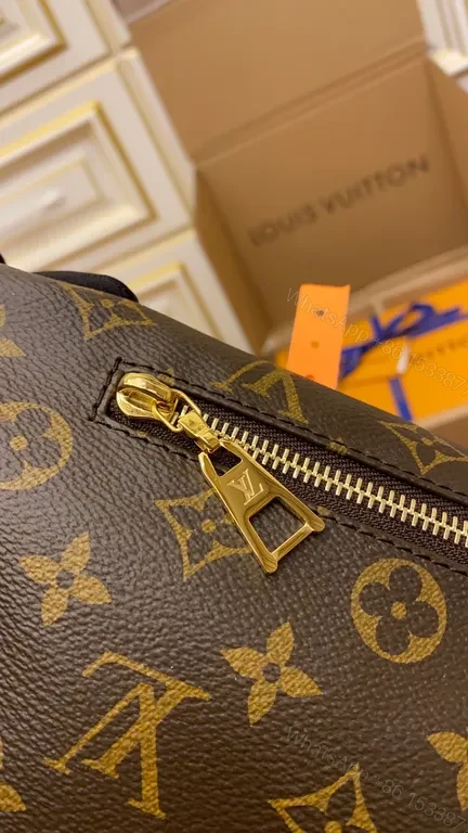 View 5 of Louis Vuitton Monogram Belt Bag: Crossbody Luxury Accessory