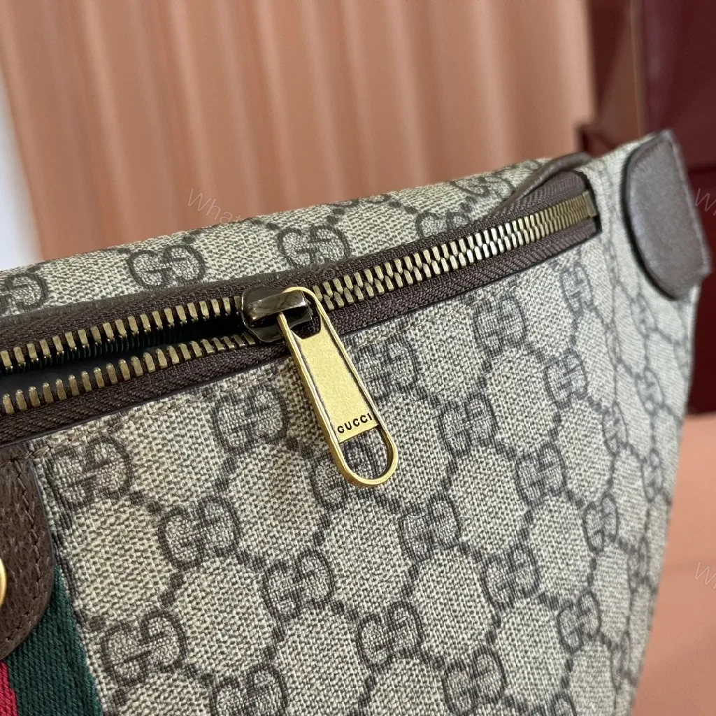 View 6 of Green-Red Web Belt Bag in Monogram Canvas, Luxe Everyday Carry