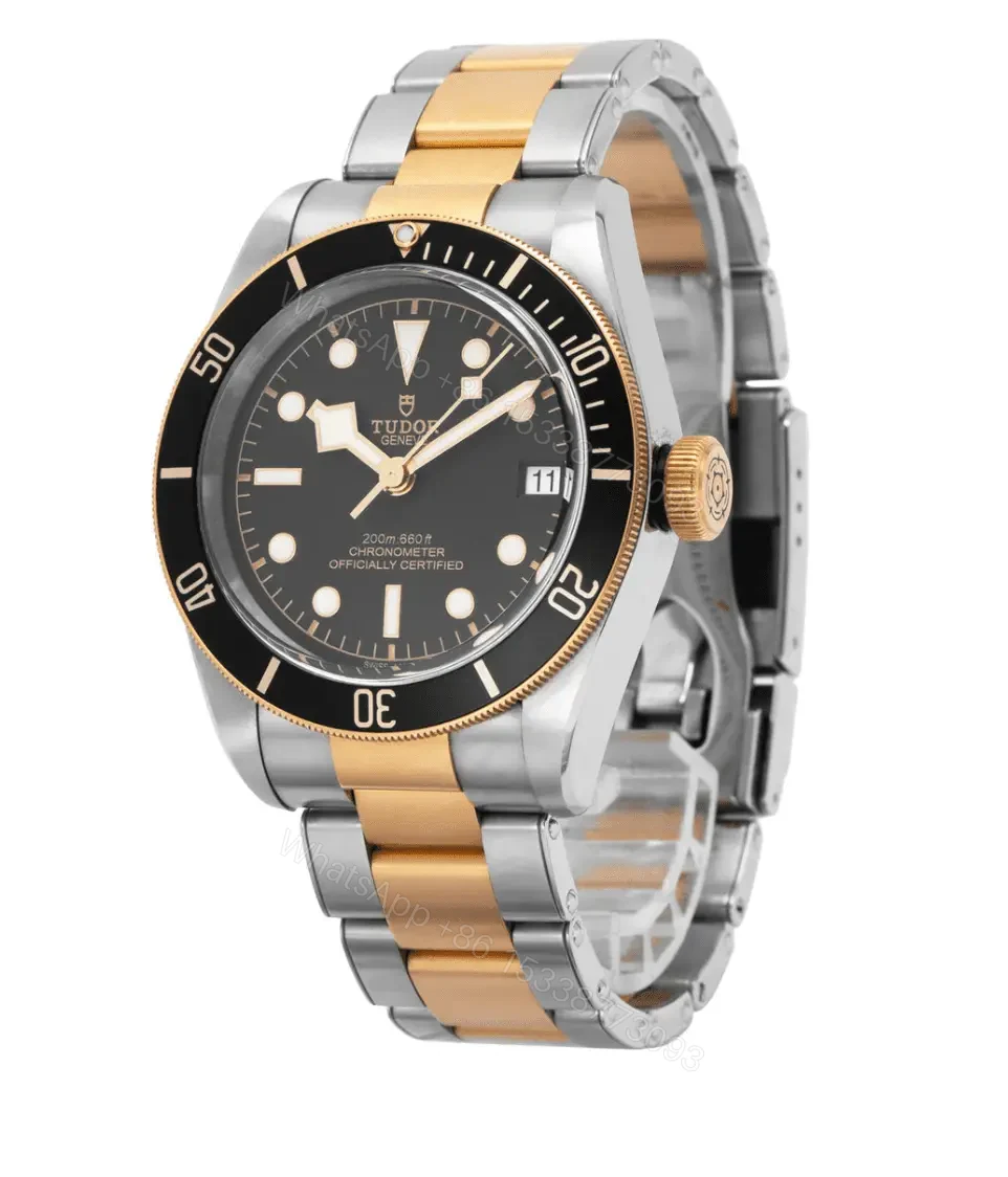 View 2 of Tudor Heritage Black Bay Gold Silver Replica