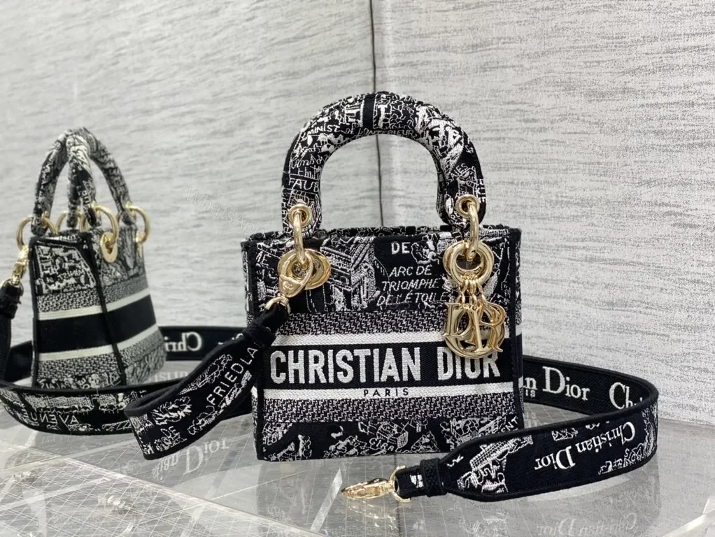 Bold Monochrome Dior Bag: Structured Luxe Mini Crossbody — view 1
