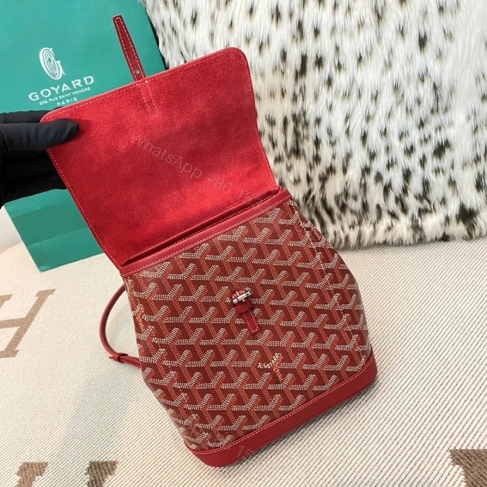 View 5 of 高仿Goyard*ALPIN7經典老花滿印雙肩包紅色免檢版