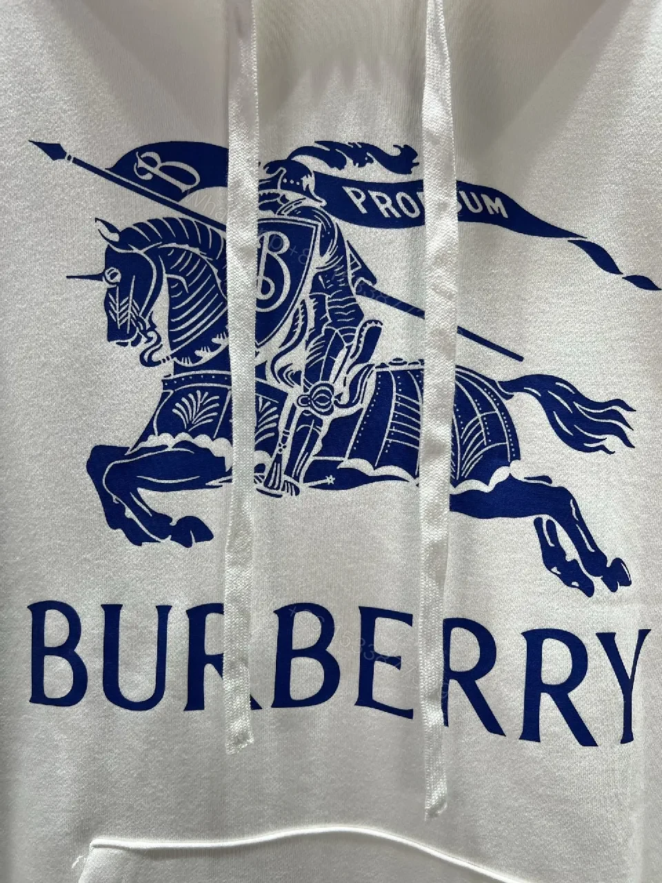 View 2 of White Hoodie with Bold Crest Graphic—Premium Comfort Streetwear