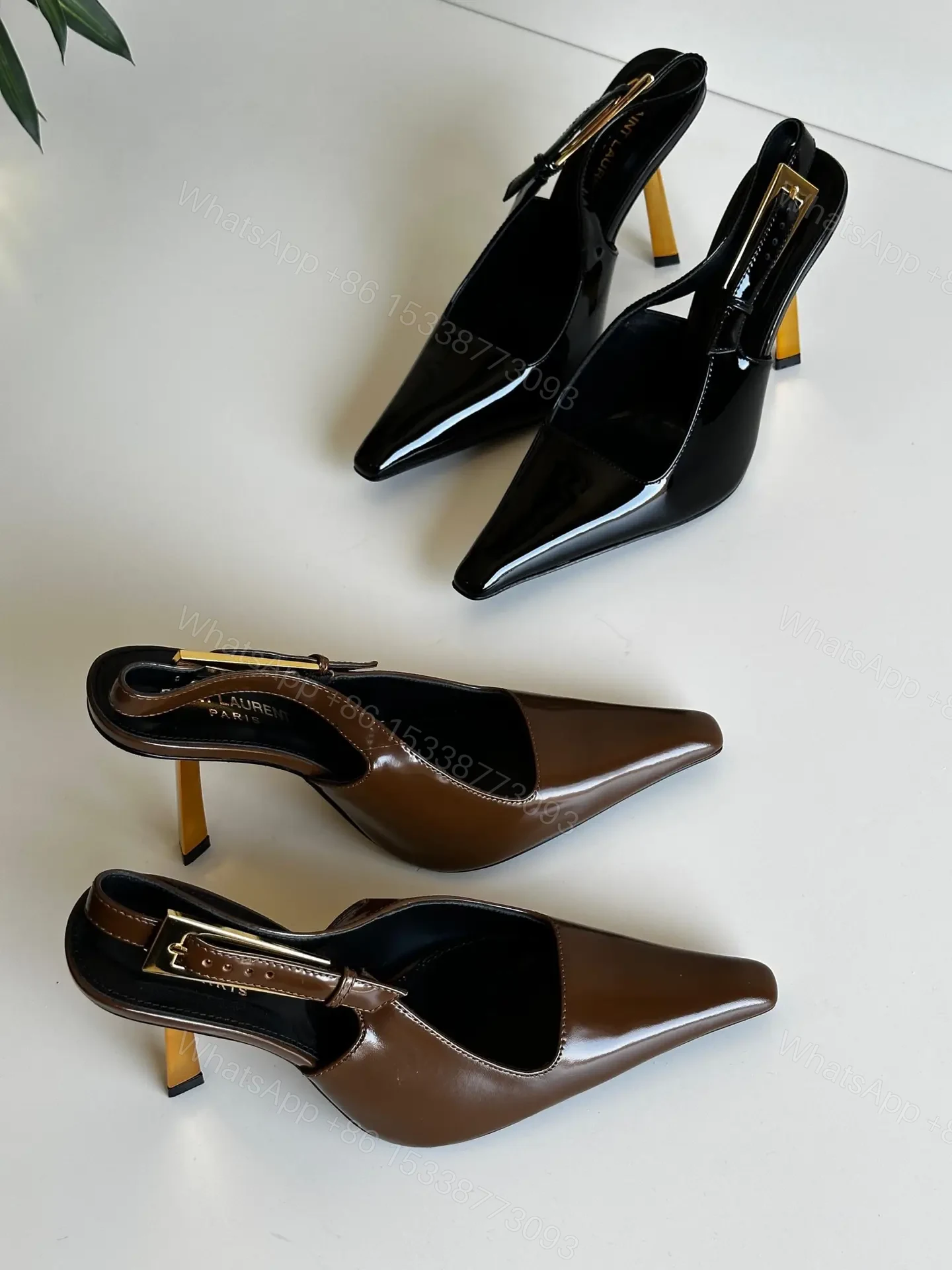 YSL — view 1