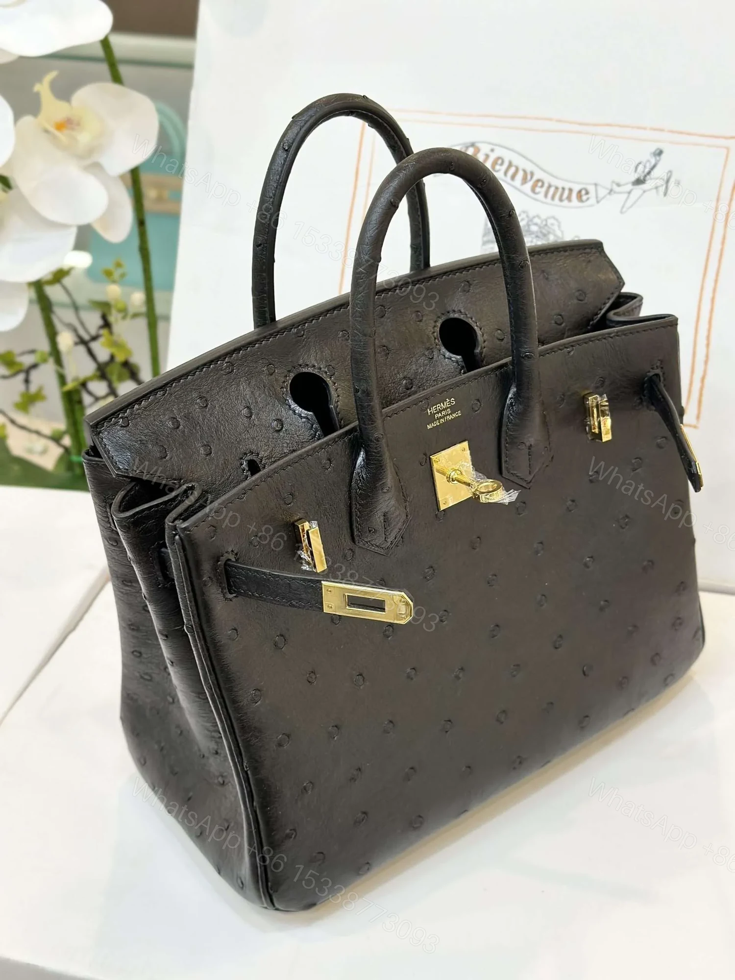 View 5 of HN 25 Black Ostrich Leather Gold Hardware