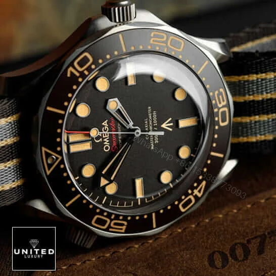 View 12 of Omega 8806 Replica