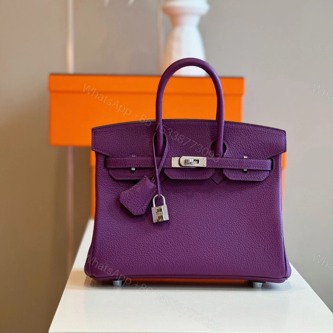 Hermes Birkin 25 Dark Purple Togo Leather Palladium Hardware — view 1