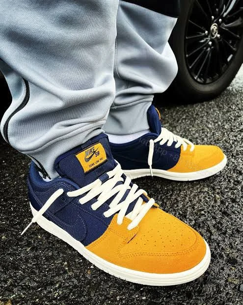 View 8 of FIRST COPY Nike SB Dunk Low Pro Backpack