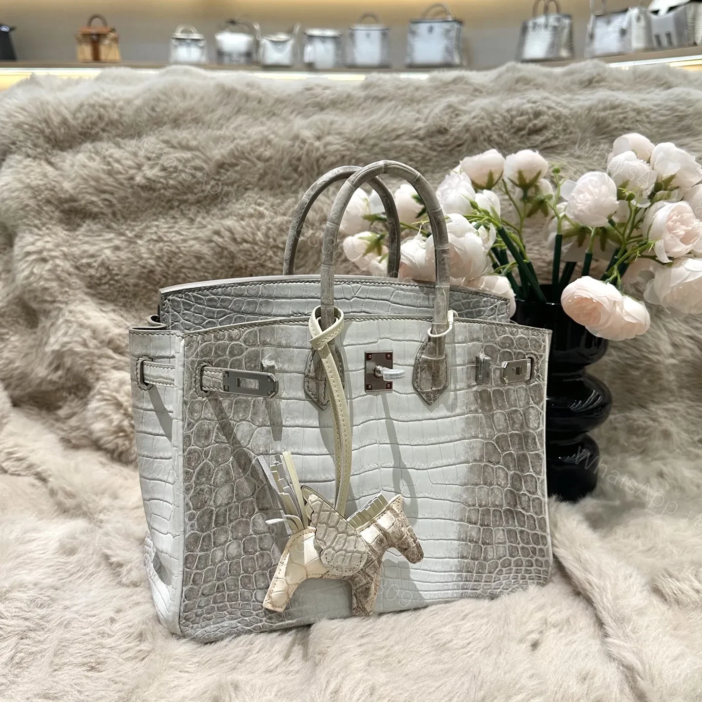 Hermes Birkin 25cm Himalaya Crocodile Leather Silver Hardware — view 1