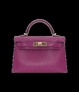 Hermès Kelly II Sellier Mini Anemone Chèvre Leather Gold Hardware — view 1