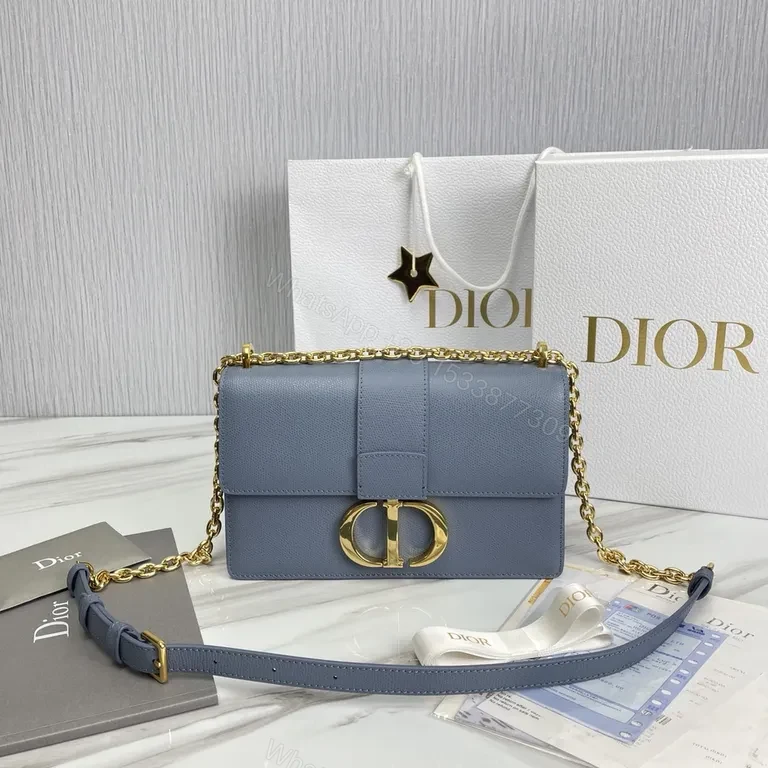 Blue Calfskin Dior Bag: Sophisticated Everyday Luxury Prioretta — view 1