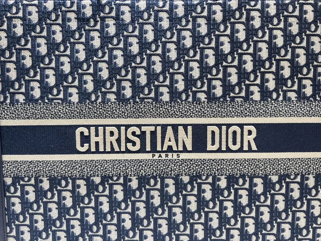View 5 of Structured Dior Oblique Tote: Everyday Luxury Meets Utility