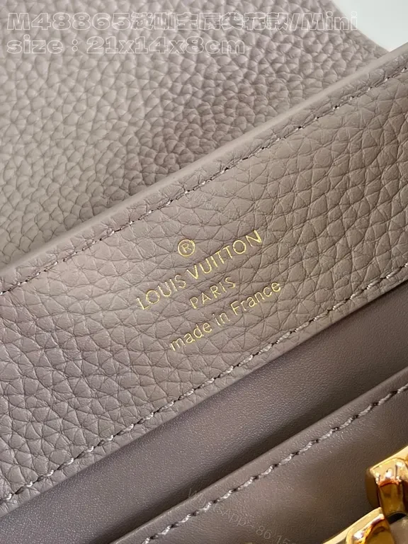 View 6 of Taupe Pebbled Leather Crossbody: Gold LV Accent, Compact Luxury Bag