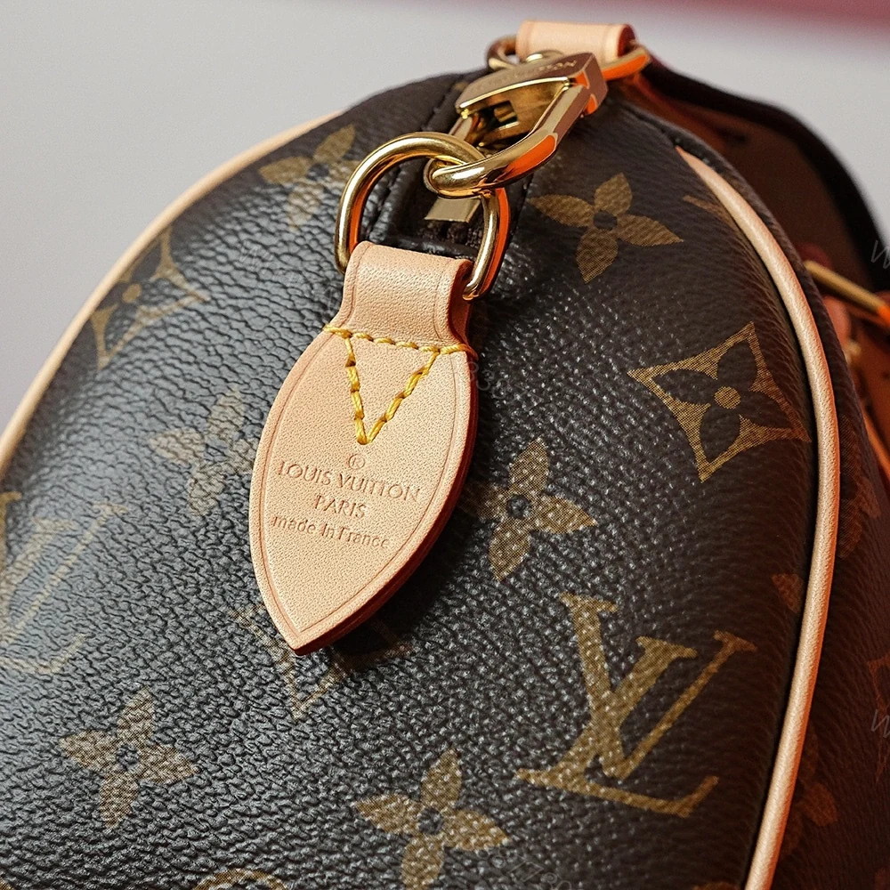 View 10 of 高仿LV手提斜挎包Speedy20系列老花帆布免檢版