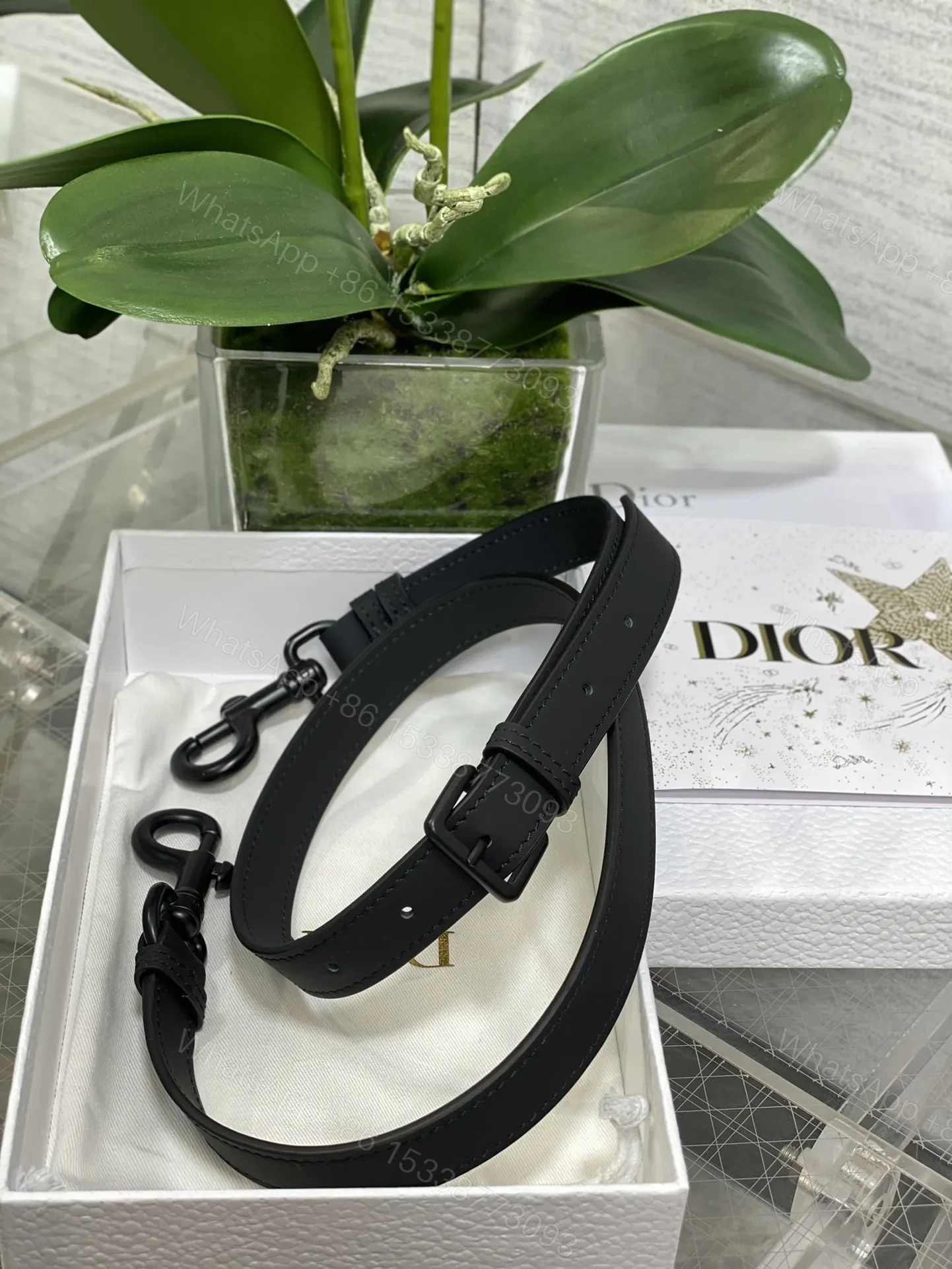 View 8 of Dior Saddle Bag in Black with Black Hardware