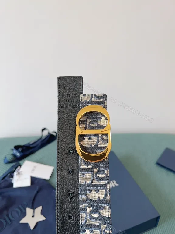 View 9 of Dior Oblique Belt: Signature Pattern, All-Season Style