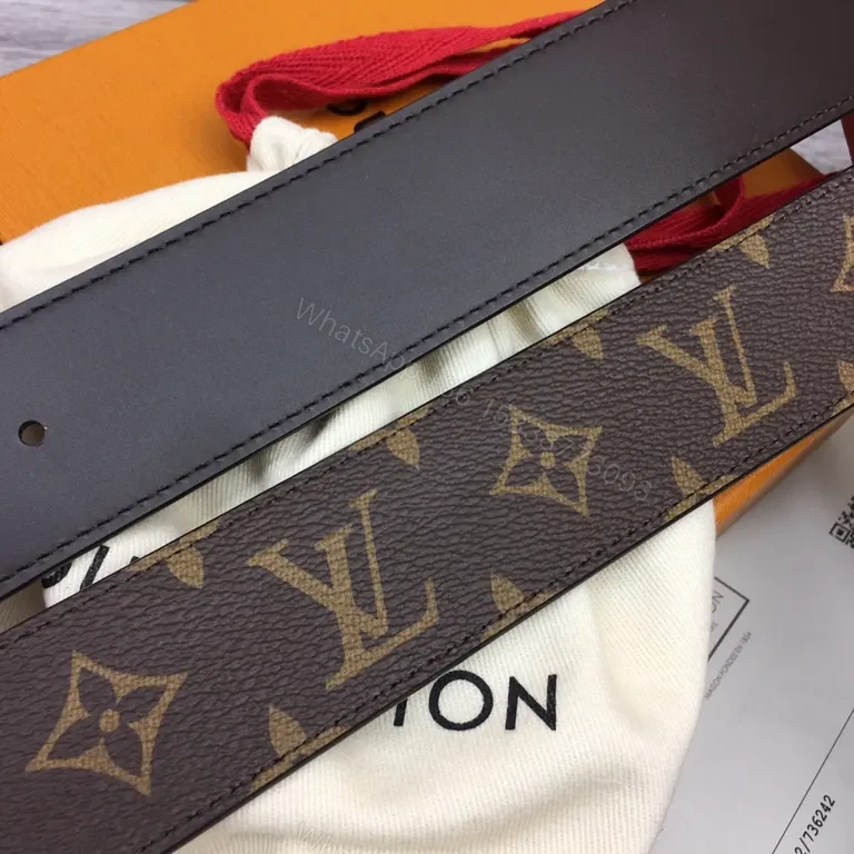 View 6 of Iconic Monogram Belt with Gold LV Buckle â€“ Everyday Luxury